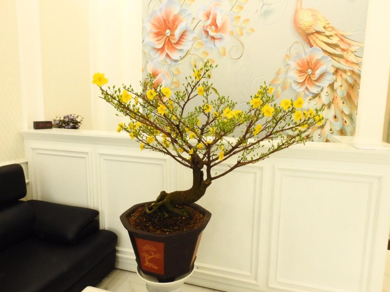Daisy Hotel Ho Şi Min Dış mekan fotoğraf